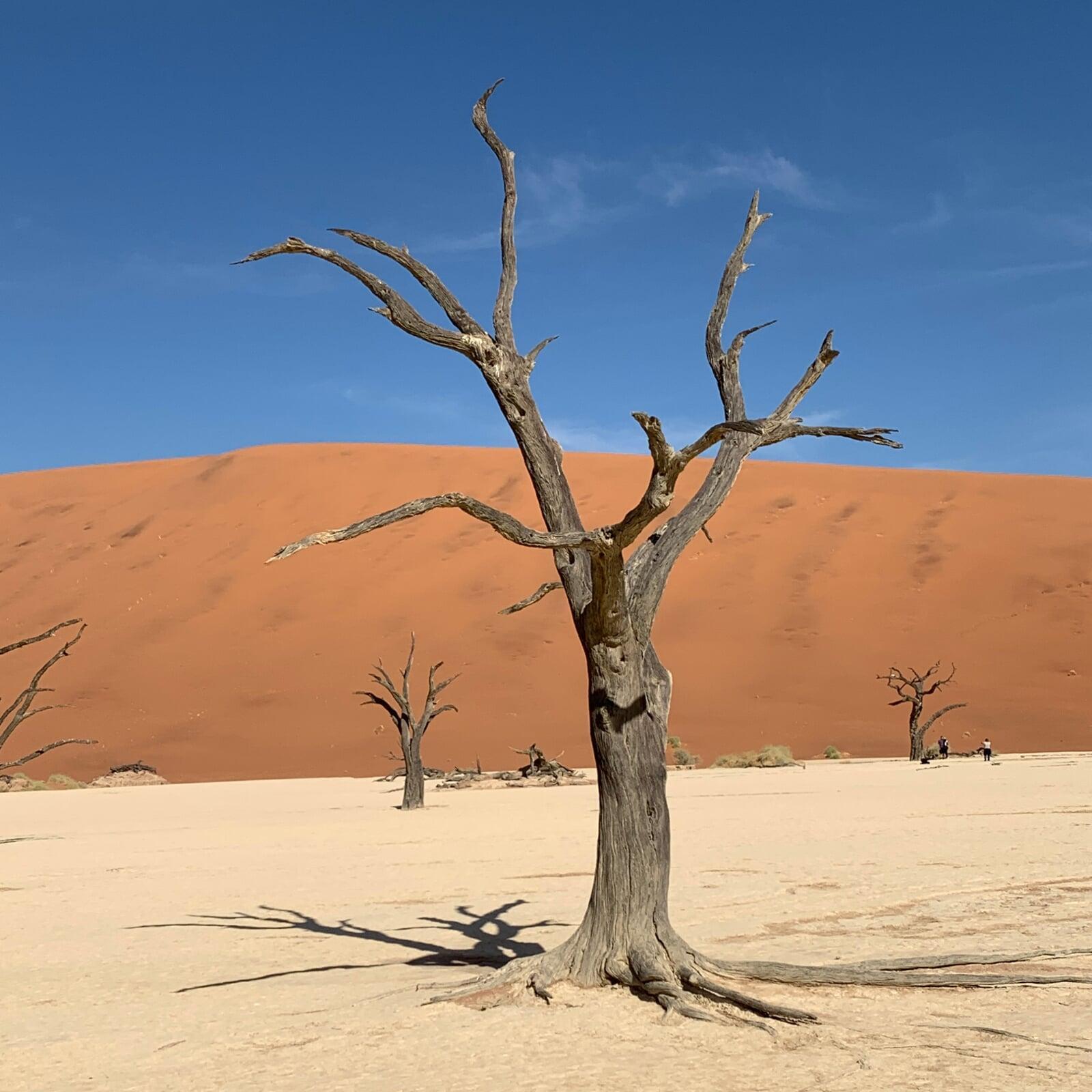 Deadvlei Namibia